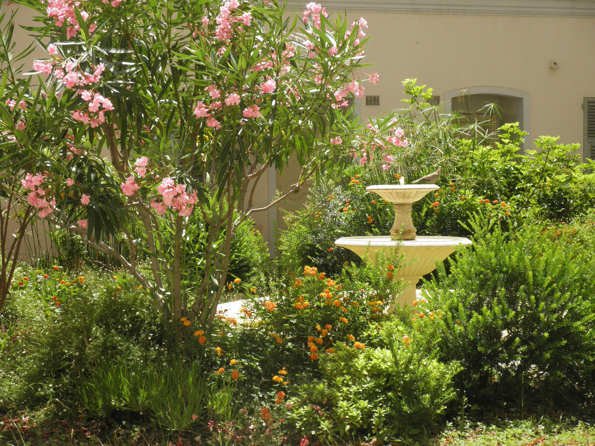 Иллюстрация к рукописи моей книги «Курортный роман» ©AzurevaMarinaBOOKS