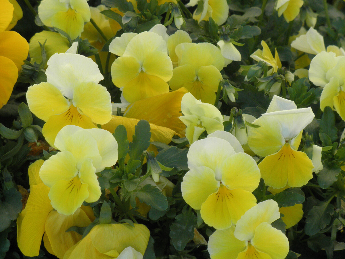 Иллюстрация к рукописи моей книги «Курортный роман» ©AzurevaMarinaBOOKS