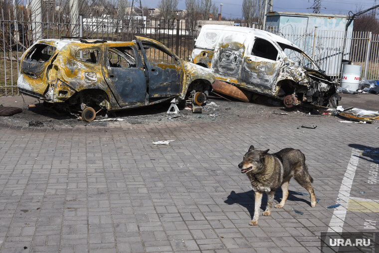    Из-за войны на Ближнем Востоке для Украины наступают нелегкие времена, сказал Дмитрий Песков