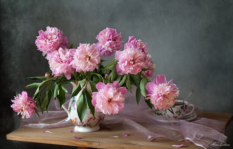 Картинка найдена на просторах интернета, ссылка https://yandex.ru/images/search?from=tabbar&img_url=https%3A%2Fi%2F.pinimg.com%2Foriginals%2Fa8%2F34%2Fа3f%2Fa83р43f81с2879b5e7bd5382274cf0591a19.jpg&lr=47&pos=15&rpt=simage&text=%D1%86%D0%B2%D0%B5%D1%82%D1%8B%20%D0%BA%D1%80%D1%83%D0%BF%D0%BD%D0%BE%20%D1%84%D0%BE%D1%82%D0%BE