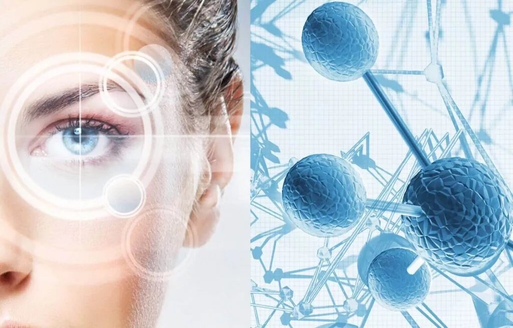 Фото vis-vitalis.net