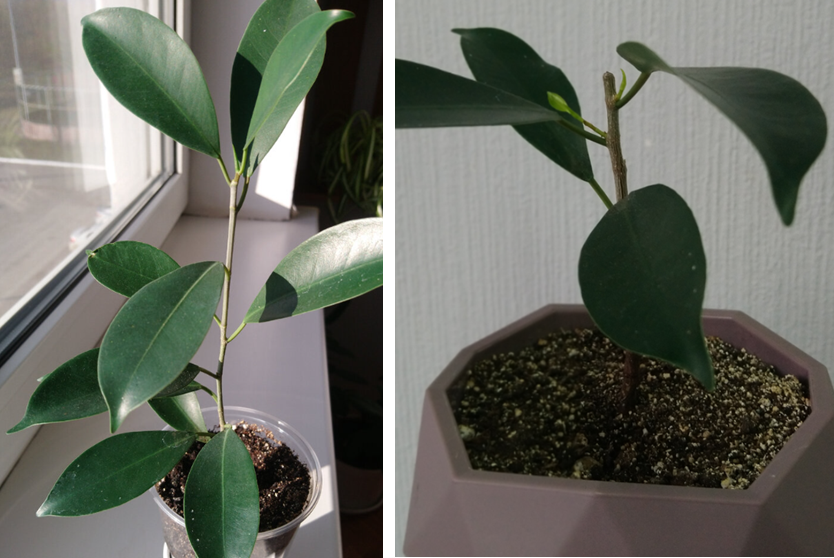 Было  1.11.23                           Стало 11.11.23