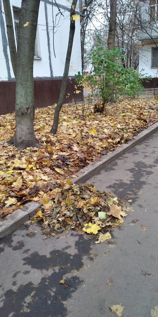 Это вам не Монреаль. 