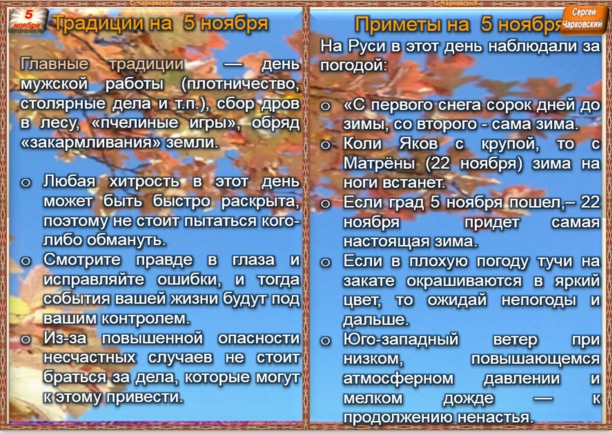 5 ноября - Приметы, обычаи и ритуалы, традиции и поверья дня. Все праздники  дня во всех календарях. | Сергей Чарковский Все праздники | Дзен