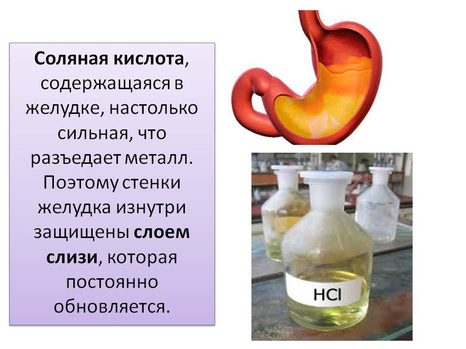 Если желудок стал лениться. Домрид