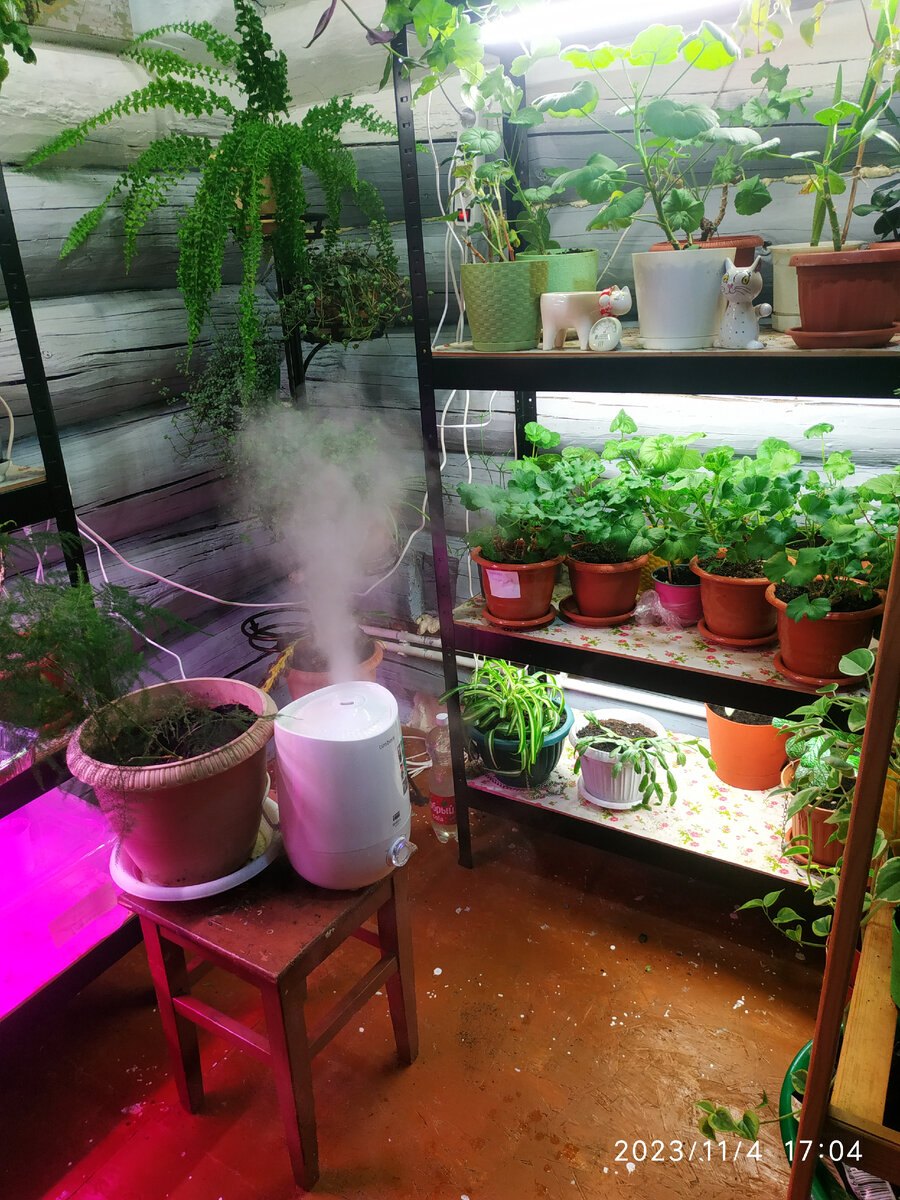 увлажнитель воздуха.