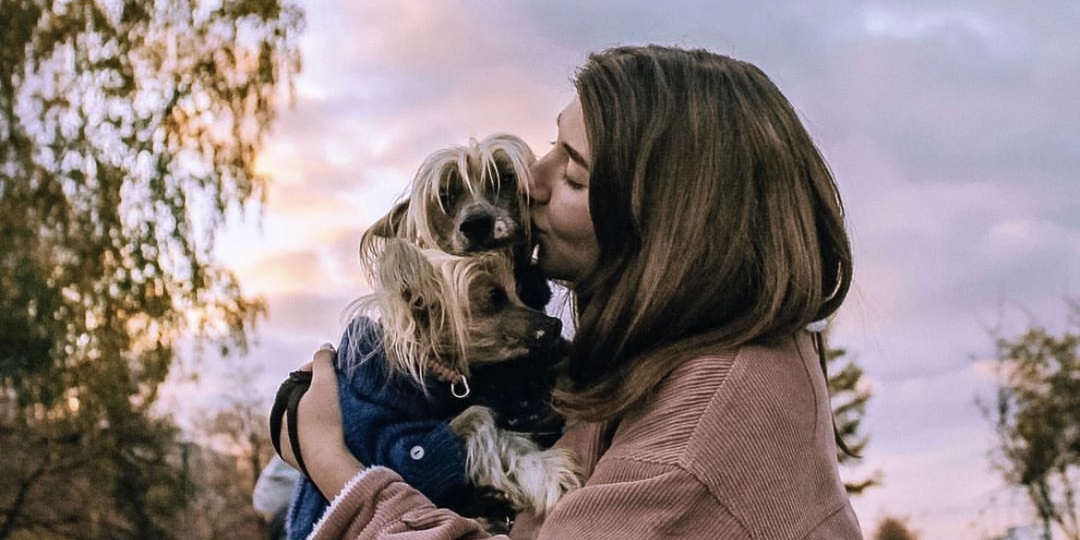 ЗАСЛУЖИТЬ ДОВЕРИЕ СОБАК, КОТОРЫХ ПРЕДАВАЛИ - ЭТО РЕАЛЬНО?