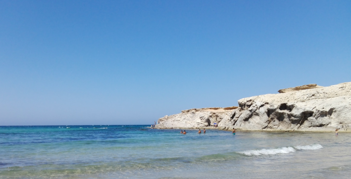 Из открытых источников.