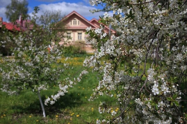    Фото: Пресс-служба Государственного музея-заповедника "Куликово поле"