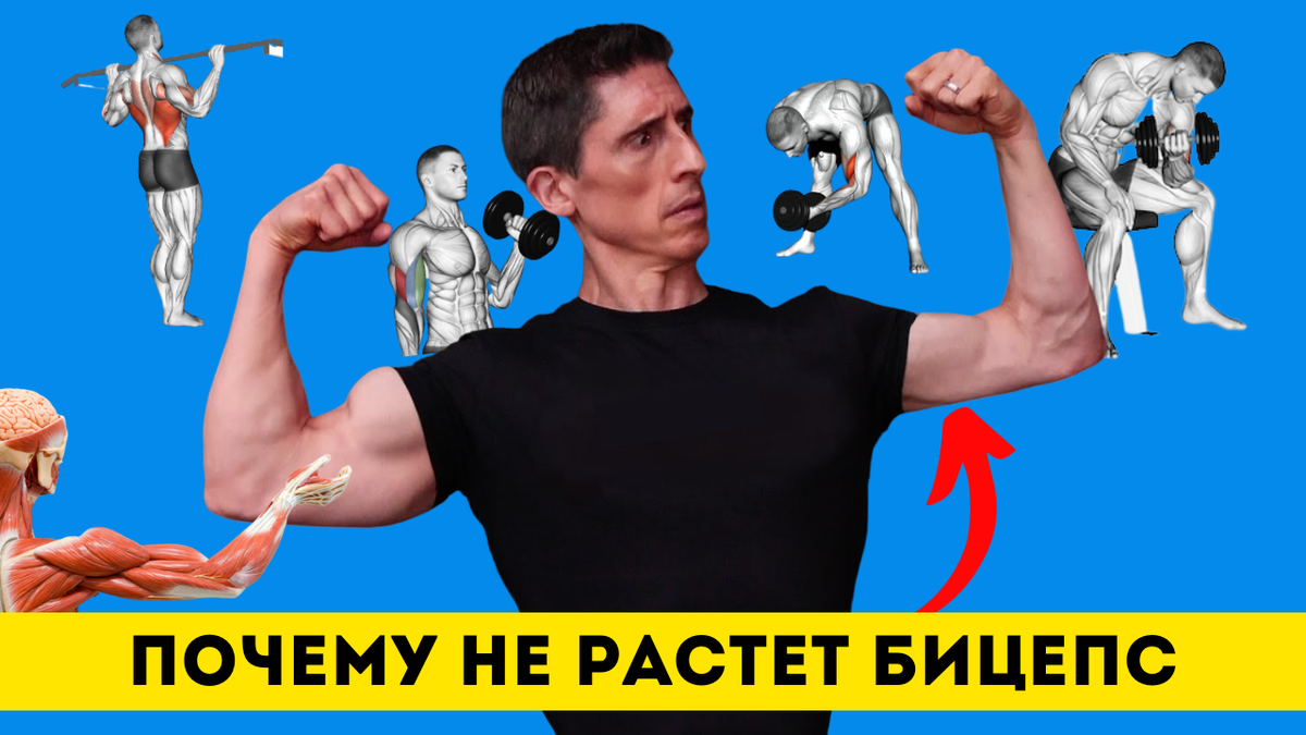 Nandrodec 500 �����: ����.