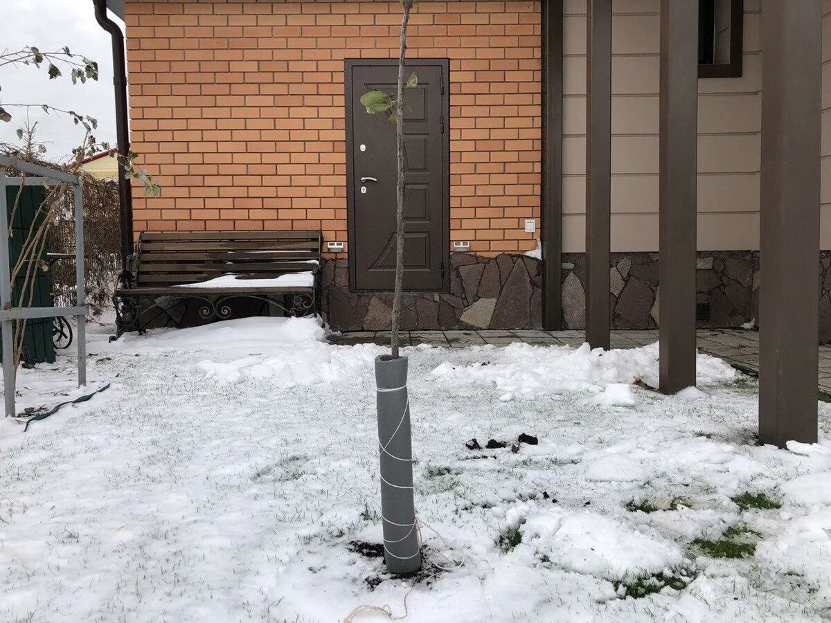 Так тоже можно защищать стволы деревьев