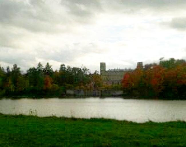 Вид на Гатчинский дворец из парка /фото из личного архива/