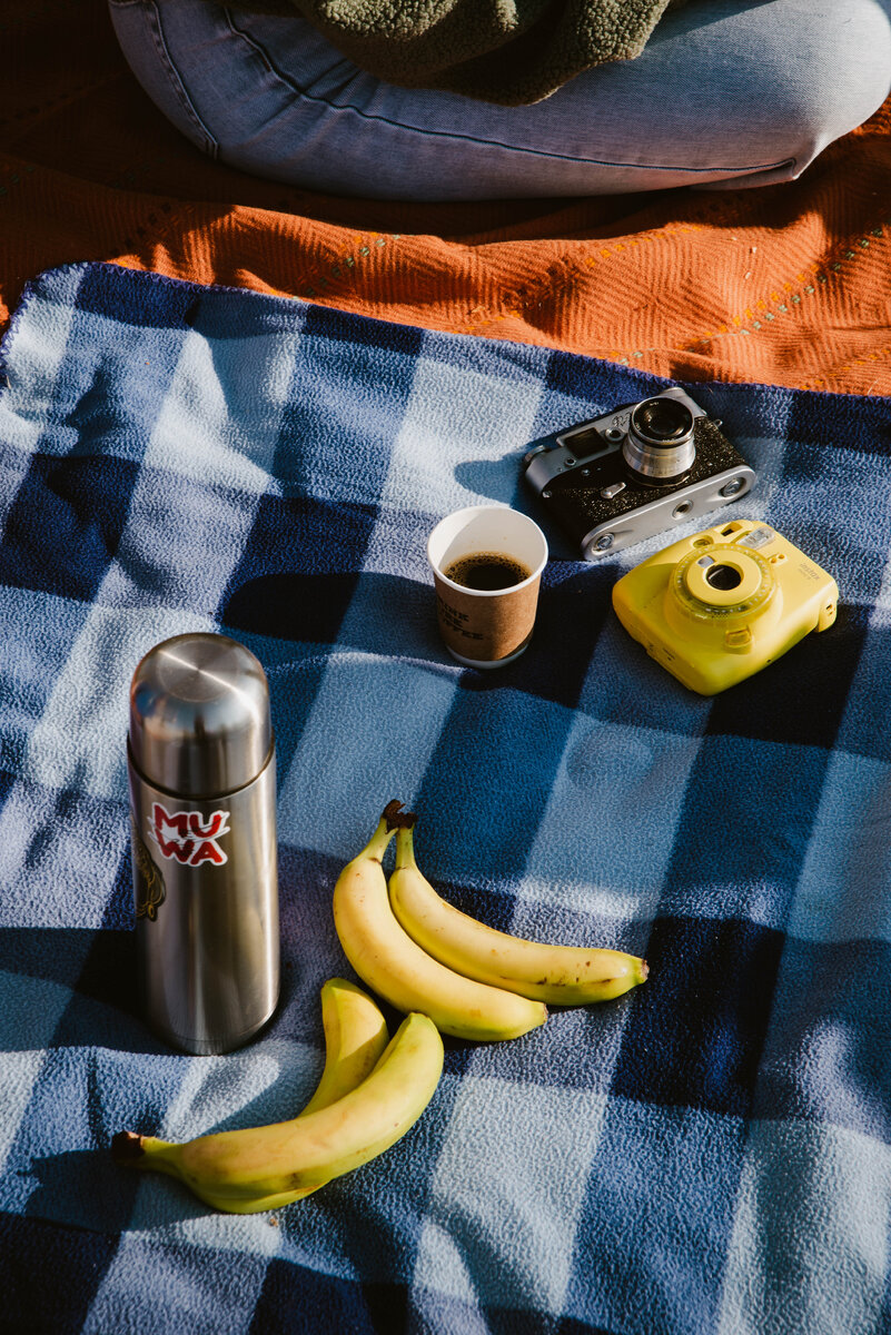 Незапланированная фотография с пикника. 