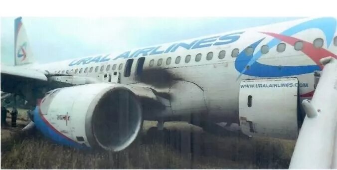 Фото: Отчет комиссии