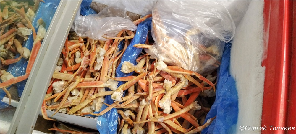 В холодильном ларе. Выбирая открыл