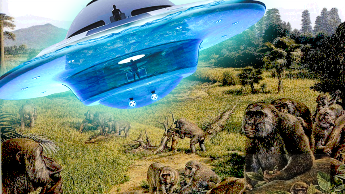 Кто же дал первобытным людям орудия? 