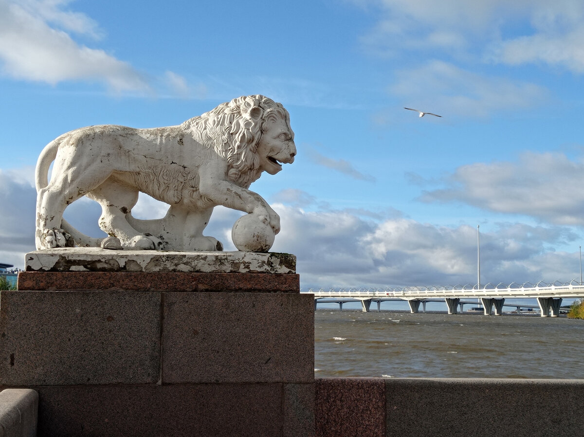 Старый лев и чайка над заливом. Фото Елены ЛЮБИТЕЛЕВОЙ.