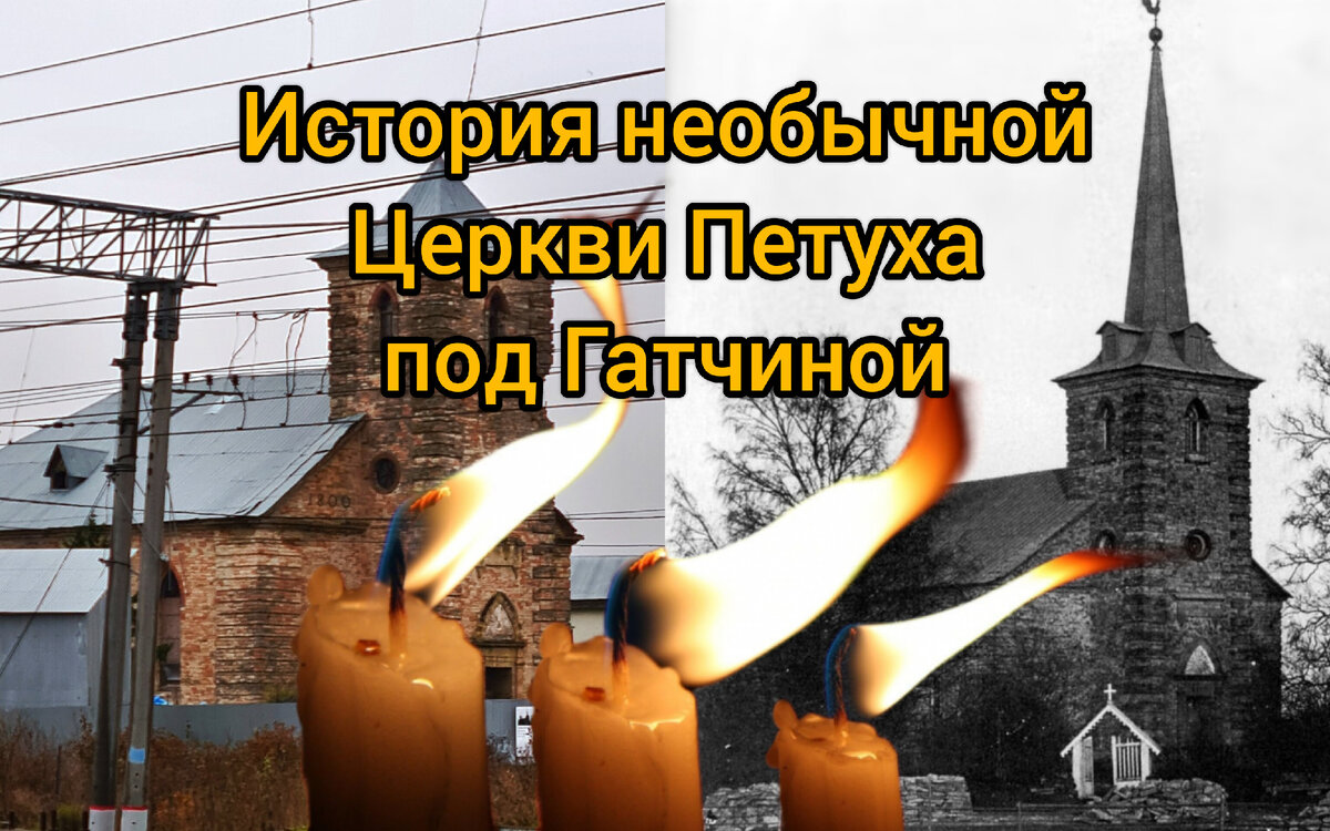 Фото: Парадная гостья