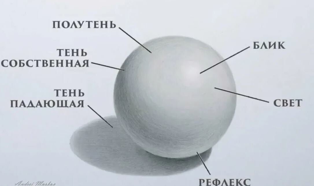 Свет тень на шаре. Шар тень полутень блик рефлекс. Блик свет полутень Собственная тень рефлекс Падающая тень. Блик тень полутень рефлекс в рисунке. Основы светотени в рисунке.