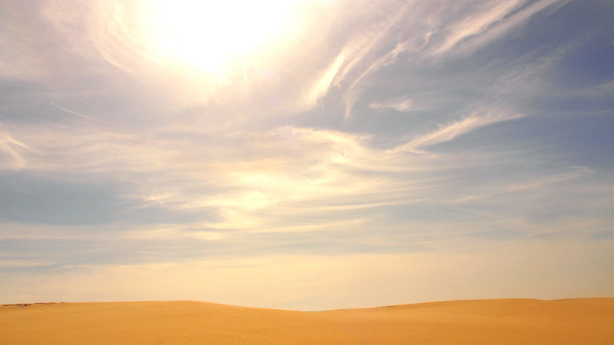 (Фото Анны Зубковой)