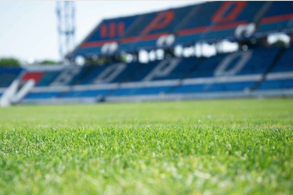 фото сайта fakelfc.ru