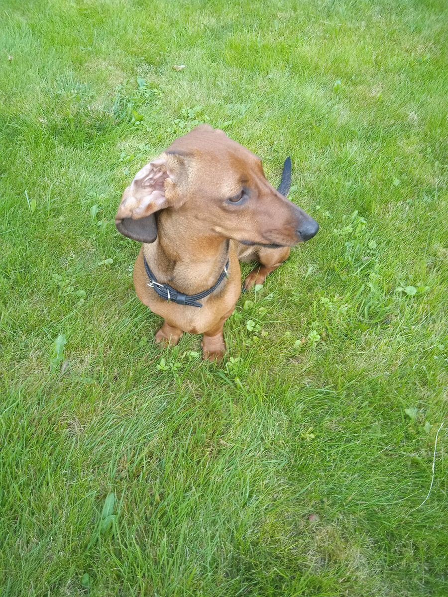 Я похожа на маму, а может на папу или же они на меня!