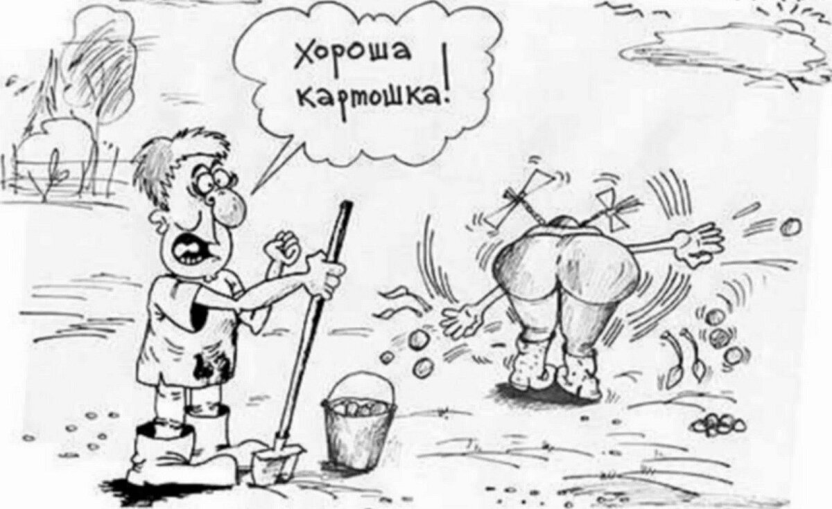 Из открытых источников.