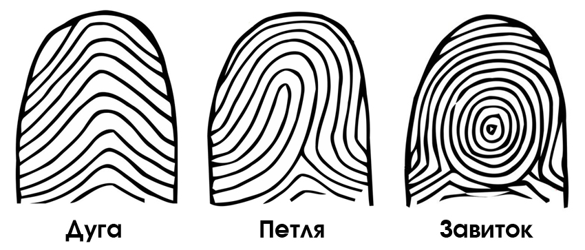 Не всегда бывает, что на всех пальцах будет один и тот же узор, чаще  встречается комбинация узоров.