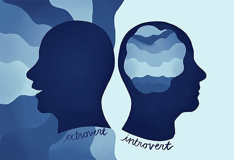 Экстраверт это. Экстраверт смешные картинки. Счастье интроверта. Интроверт флегматик. Интроверт и экстраверт.