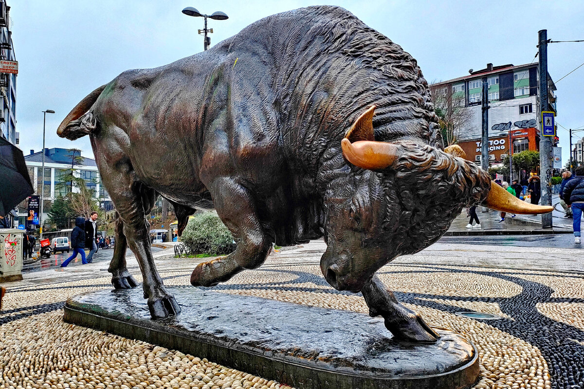 Стамбул, Бык района Кадыкёй (фото из личного архива)