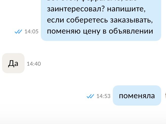 Скриншот личной переписки на сайте Авито 