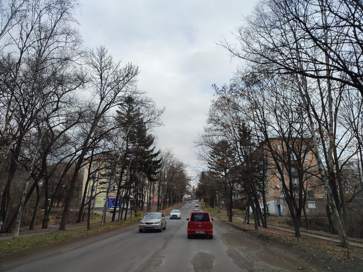 Партизанск, город в Приморье. Застывшая сказка ушедшей эпохи. | Осока  Шелестящая | Дзен