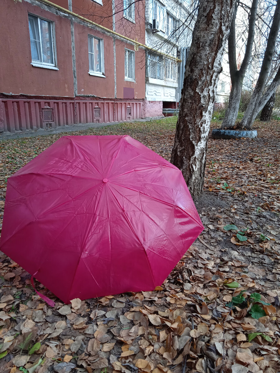 Осень в городе