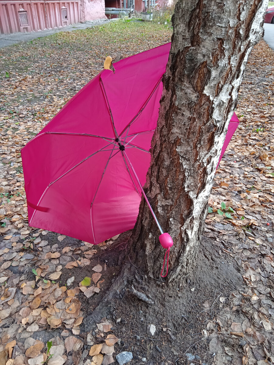 Совсем скоро зима