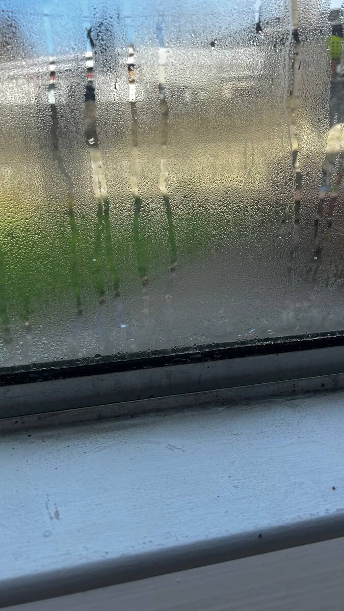 до обработки хлоркой