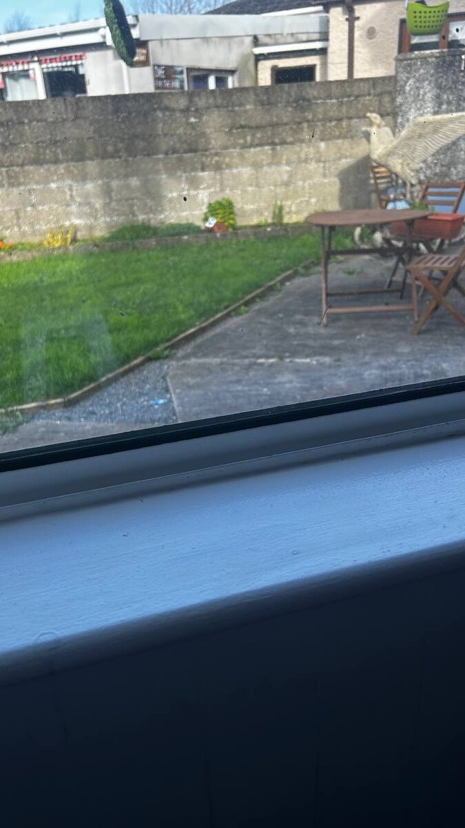 после обработки хлоркой