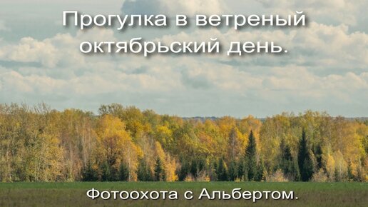 Фотоохота с Альбертом. Прогулка в ветреный октябрьский день.