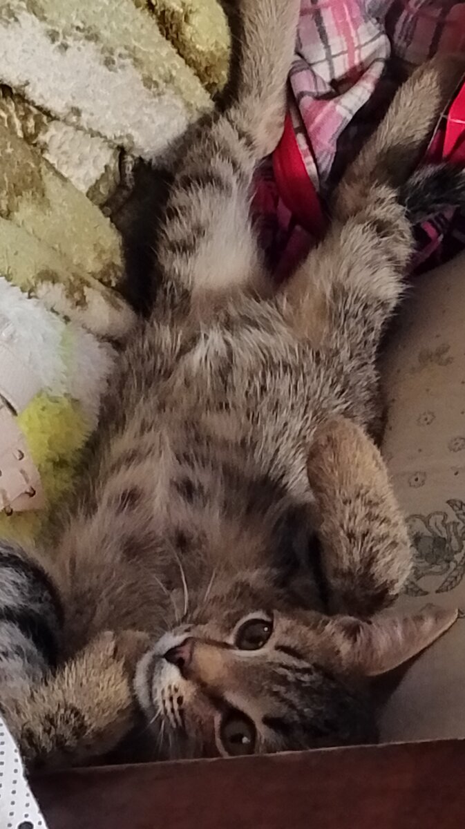 Фото из личного архива автора. Ну, постирай меня!🤣