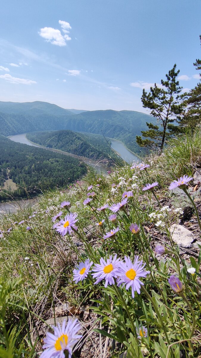 Дивногорск, ты прекрасен 😍#туризм#путешествия#Сибирь | ... | Дзен