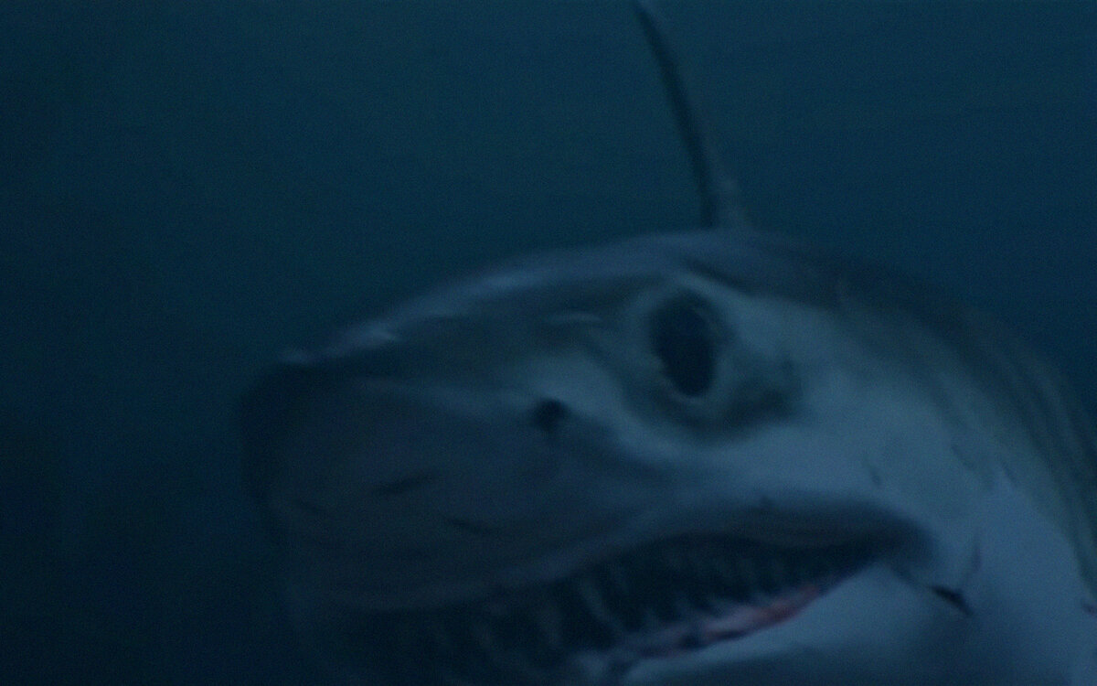 акула юрского периода 2. мегалодон фильм 2023. ужастики про акул 2023. ужастики про акул 2023. мэг монстр глубины.