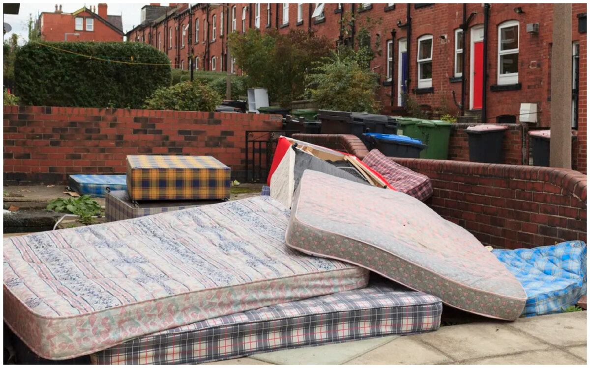 Данная картинка из общедоступных ресурсов сети интернет принадлежит только ее авторам.