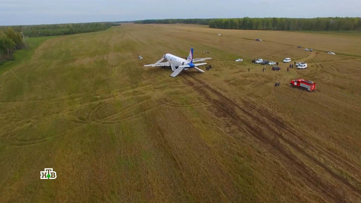    Посадка на пшеничное поле: что ждет пилотов Airbus A320 после расследования