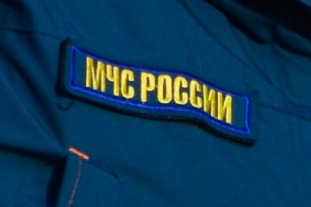    Пенсионер и пять его собак погибли при пожаре в Бердске