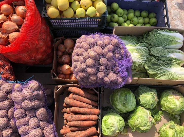     Некоторые виды продуктов способствуют защите организма от рака. ФОТО: «МК в Калининграде»