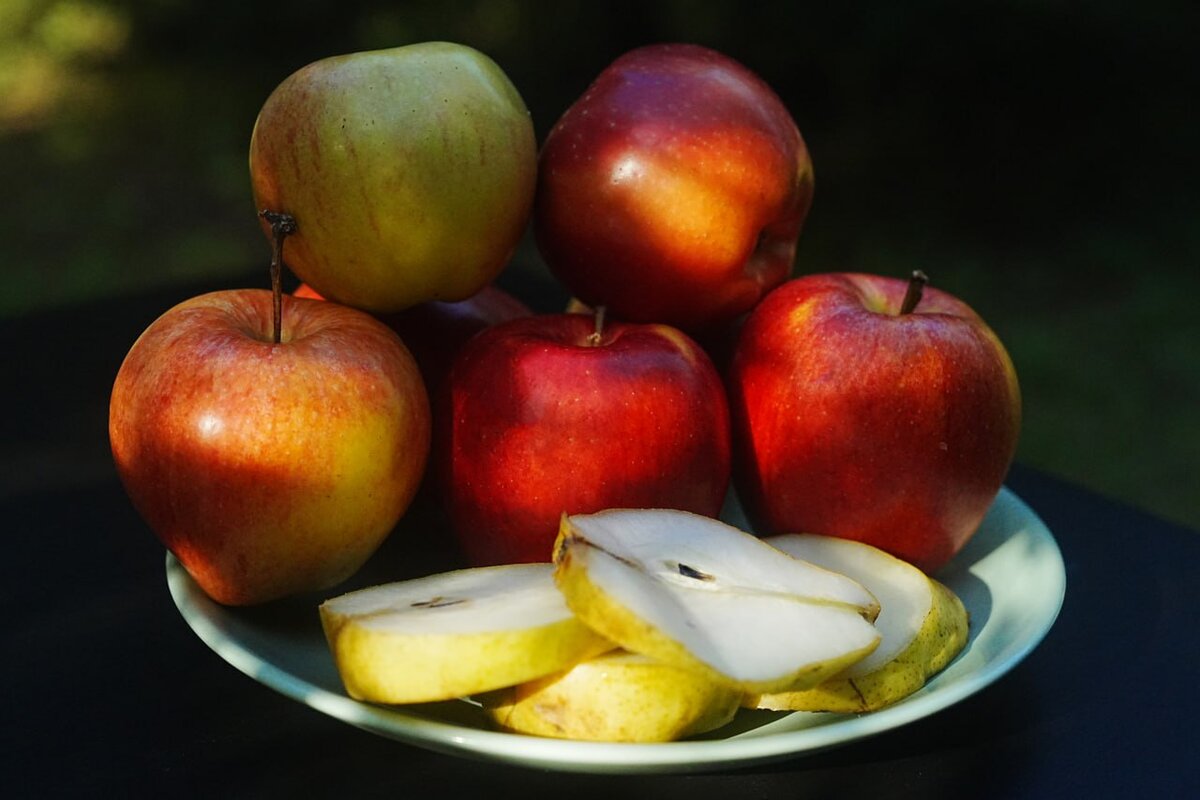 Дачный агроном знает как вырастить отличный урожай.