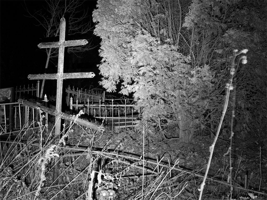 Изображение взято из открытых источников интернета. 