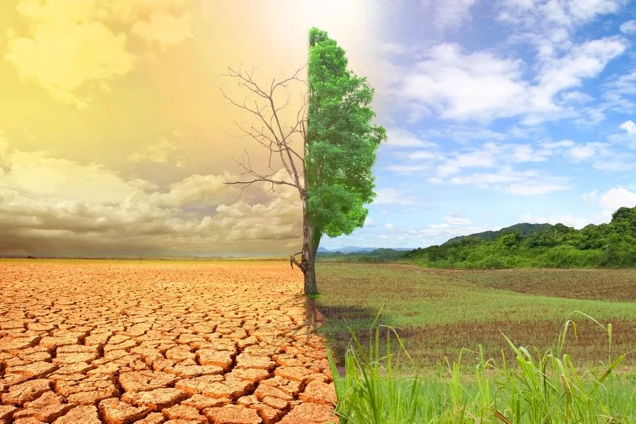 Источник: интернет. 