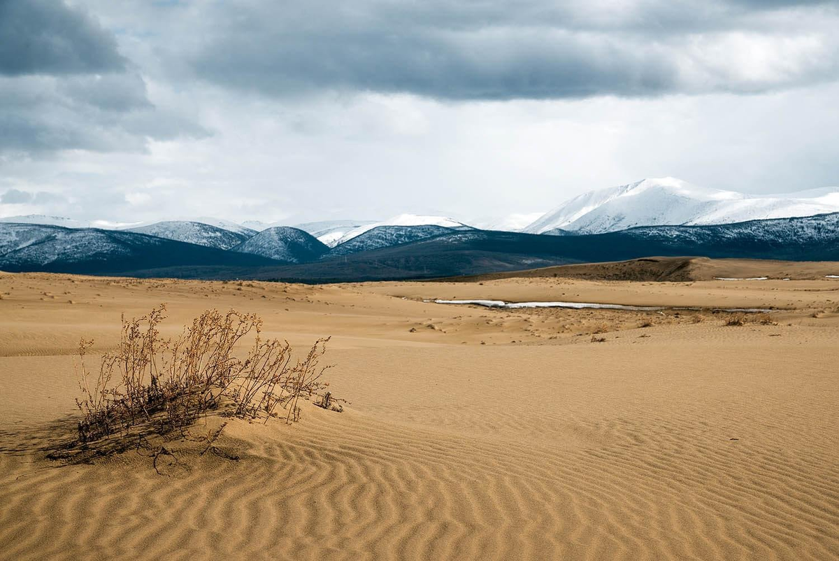 Источник: интернет. Пустыня в России. 