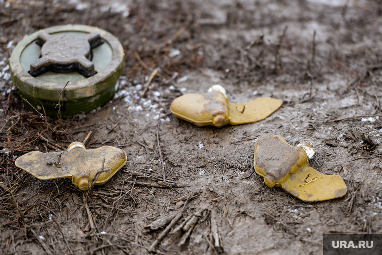    Все беспилотники были обнаружены и обезврежены