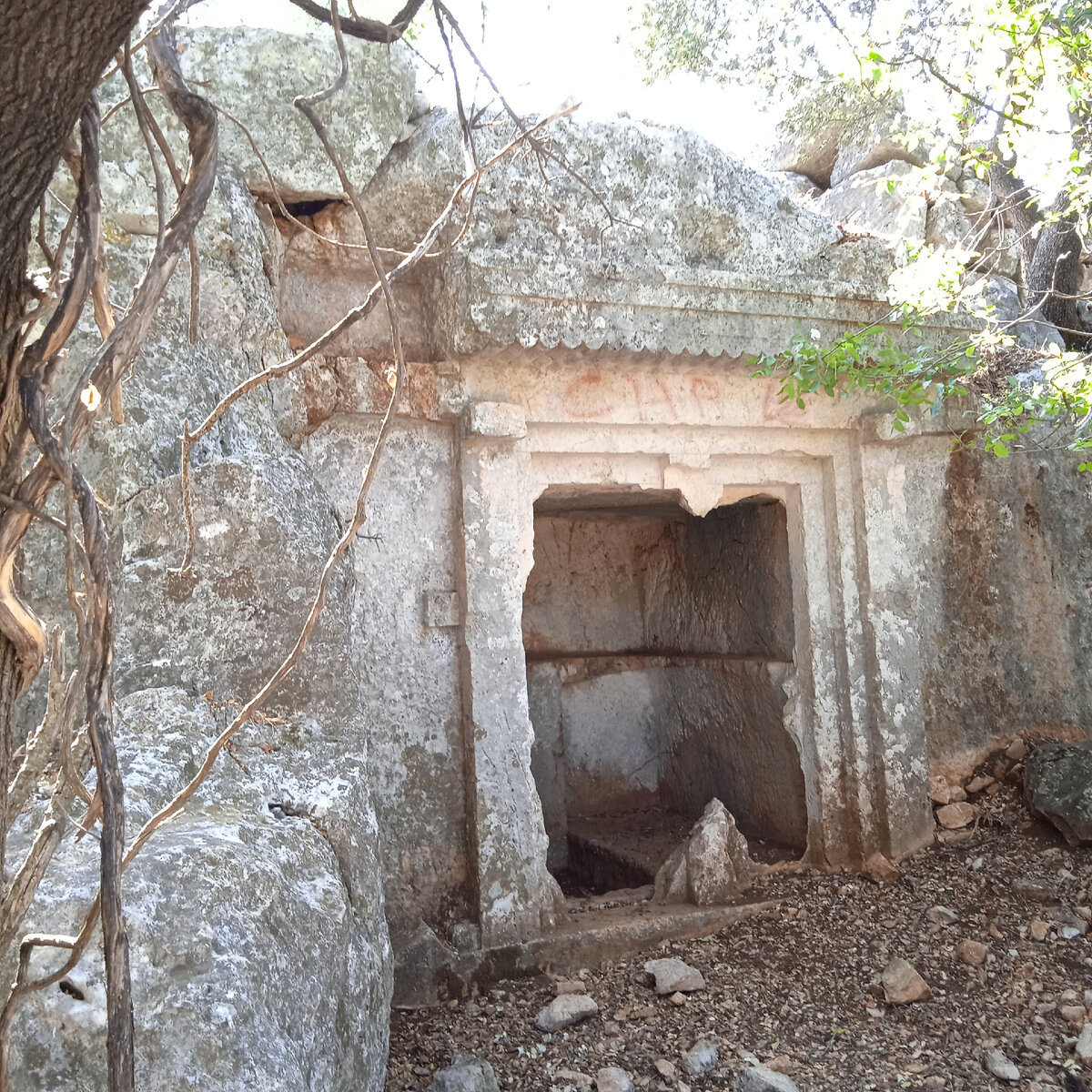 Фото автора